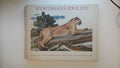 Contemporary Sporting and Wildlife Art 1978 (Sportsman's Edge Ltd)
