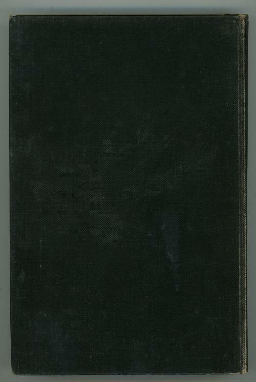 In the Shadow by Austin Stone (First Edition)