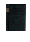 The Parisian Detective by F. du Boisgobey
