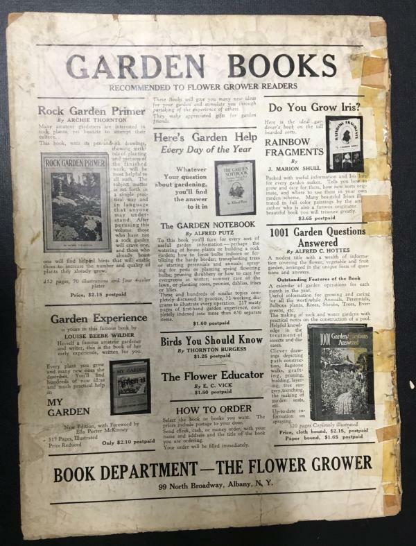 Wonder Stories Jul 1932 Pulp