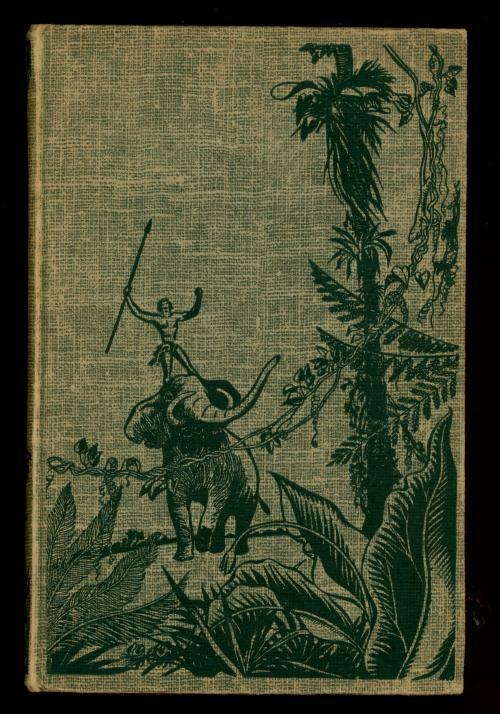 Tarzan Lord of the Jungle by Edgar Rice Burroughs