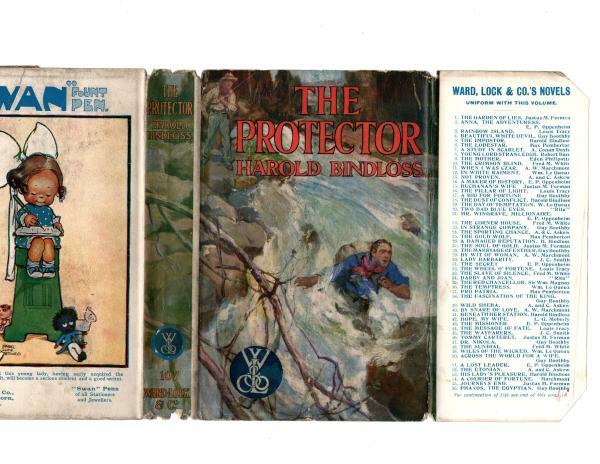 The Protector by Harold Bindloss (File Copy)