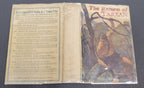 The RETURN of TARZAN by Edgar Rice Burroughs (St.John art)