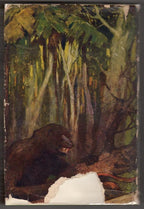 The Beasts of Tarzan by Edgar Rice Burroughs (First Edition) Original DJ