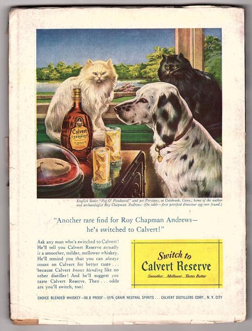 Detective Tales Jun 1949 GG Cleavage Cvr; Day Keene; Frank Ward - Pulp