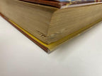 Stories without Women by Donn Byrne (First Edition)
