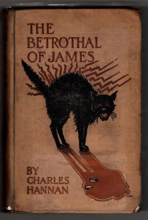 The Betrothal of James by Charles Hannan (First Edition) Rare