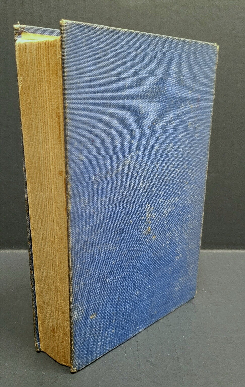The Eternal Lover by Edgar Rice Burroughs First, Fax DJ, J. Allen St. John Art