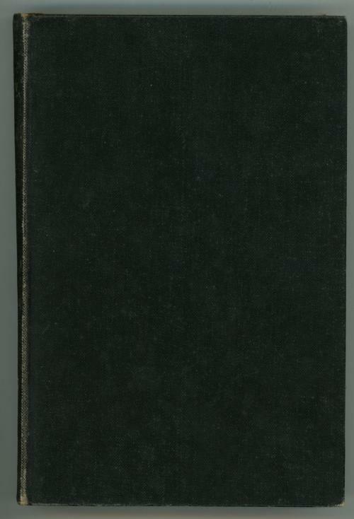 In the Shadow by Austin Stone (First Edition)