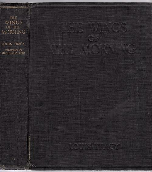 The Wings of the Morning by Louis Tracy (1924) Mead Schaeffer Art