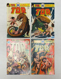 Lot of DC Tor Raw Comics #1 #3 #4 #6