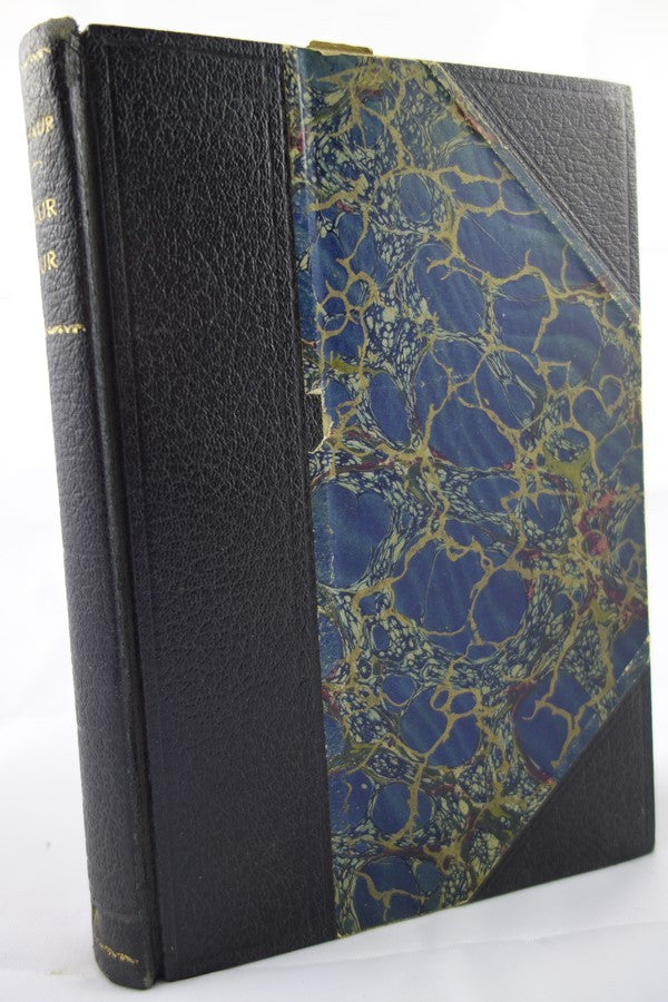 Le Semeur d'Amour by Fâ€šlicien Champsaur Fabius Lorenzi