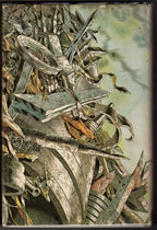The Zero Stone by Andre Norton (First US Edition)