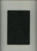 Three Hundred Years Hence by Mary Griffith (Limited Edition)