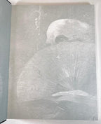 The Phantom of the Opera /La FantÃ´me de l'OpÃ©ra (Set of 3) Anne Bachelier Signed