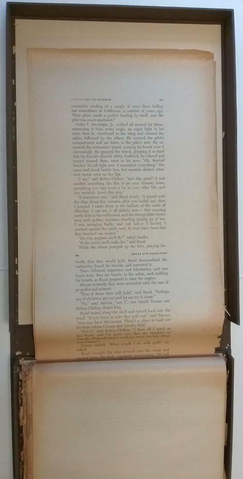 Tarzan and the Madman (Unbound Galleys) by Edgar Rice Burroughs