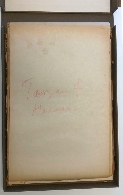 Tarzan and the Madman (Unbound Galleys) by Edgar Rice Burroughs
