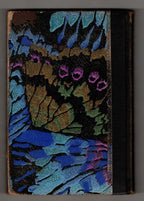 The Blue Highway by Ethel and Frank Owen (First Edition)