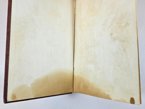 Interior World: A Romance by Washington L. Tower (First Edition)